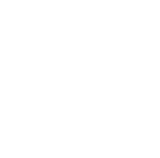 TownX Development