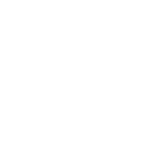 kleindienst logo